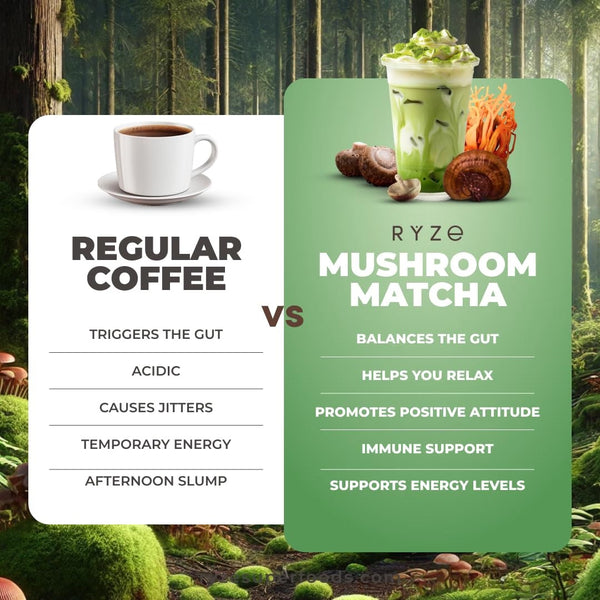 RYZE Organic Mushroom Matcha with 6 Adaptogenic Mushrooms, 30 Servings My Store