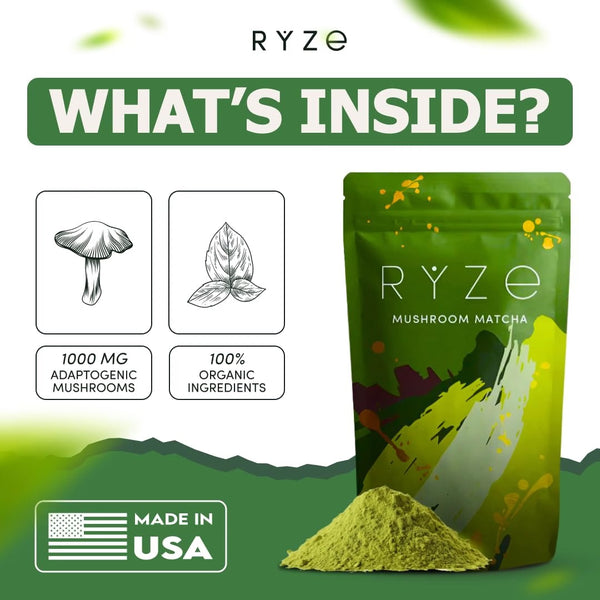 RYZE Organic Mushroom Matcha with 6 Adaptogenic Mushrooms, 30 Servings My Store